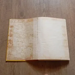 Các vị đệ nhất phu nhân Hoa Kỳ  697973