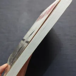 TRÊN ĐẤT MỸ (Người Việt ở Mỹ viết về nước Mỹ) 931721