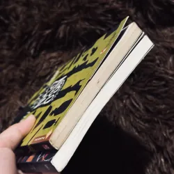 Combo tuổi 20 yêu dấu + nhà osin 961355