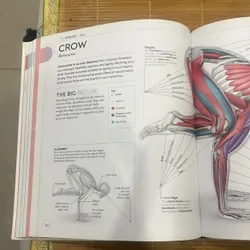 Science of yoga 713724