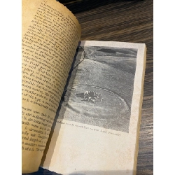 Stonehenge - R. J. C. Atkinson 1062568