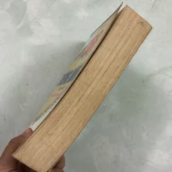 Tuyển chọn 368 bài luận Tiếng Anh hay nhất 987374