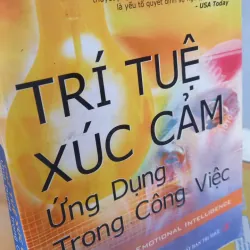 trí tuệ xúc cảm 972404
