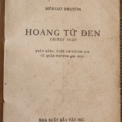 Tiểu thuyết Pháp của Maurice Druon: HOÀNG TỬ ĐEN 706257