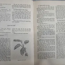 NHỮNG CÂY THUỐC VÀ VỊ THUỐC VIỆT NAM 682769