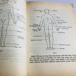 📚 KỸ THUẬT BẤM HUYỆT MASSAGE TRONG GIA ĐÌNH TRUNG QUỐC  714811