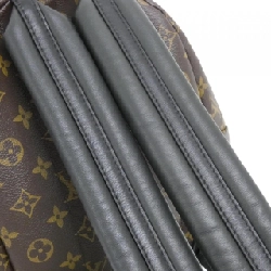 Ba lô Louis Vuitton Monogram Palm Springs PM M44871 608327
