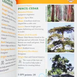 i-SPY Trees (Michelin i-SPY Guides) 11546