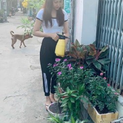 Bình xịt phun sương  28084