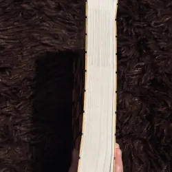 Văn mới 5 nămđầu thế kỷ 756677