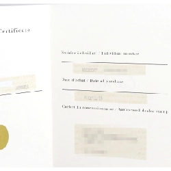 Cartier Mini Benuar WG/D WB520027 WG Quartz - Hàng hiệu Authentic 877665