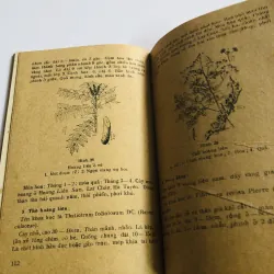 HƯỚNG DẪN BẢO VỆ – TÁI SINH – KHAI THÁC DƯỢC LIỆU 1978 796527