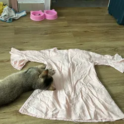 Váy bé gái 640421