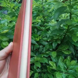 Cuộc truy tầm kho vũ khí truyện thiếu nhi của Đoàn Giỏi  999742