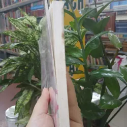 LÃO KHỔ - TẠ DUY ANH 1033473