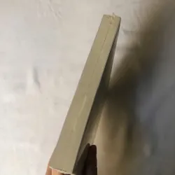 Lịch Sử Đô Thị Hiện Đại - Shane Ewen 970167