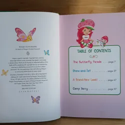 Strawberry Shortcake And Friends 696686