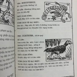 Combo khám phá lịch sử và khoa học cho bé 926045