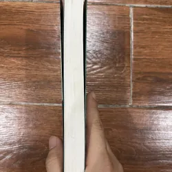 Cô gái trên tàu (15) 1029074