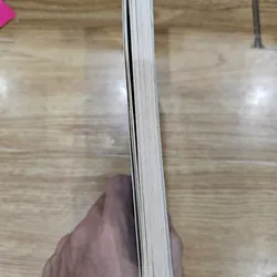 The Night They Stole The Stanley Cup 
 682855