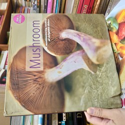 Mushroom a mouthwatering medley of delightful dishes 192307