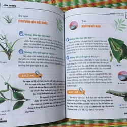 Khám Phá Bí Ẩn Thế Giới Tự Nhiên Dành Cho Học Sinh : Côn Trùng 475385