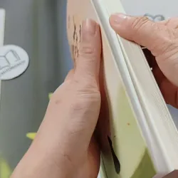 Yêu Anh Hơn Cả Tử Thần - Tào Đình 744695