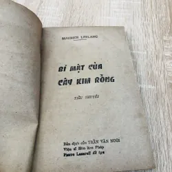 BÍ MẬT CÂY KIM RỖNG  961421