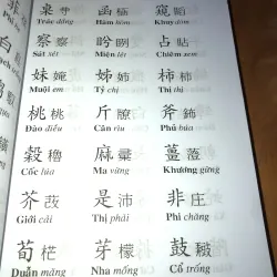 Tam Thiên Tự-Đoàn Trung Còn 957981