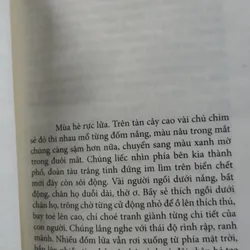 Tất cả đều giả dối, Tất cả đều mộng tưởng" của Nguyễn Thủy Hằng.   563737