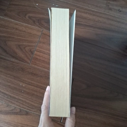 Trái tim màu hổ phách 509939