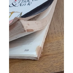 Pháp luật: Thực tiễn và án lệ - Đinh Văn Quế 758824