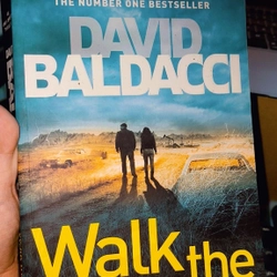 Walk the wire by David Baldacci