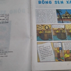 Tintin bông sen xanh 502833