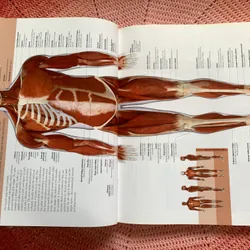 The Human Body Book: An Illustrated Guide to Its Structure, Function and Disorders. 646342