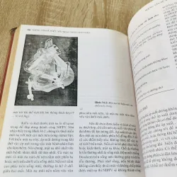 Những Vấn Đề Thiết Yếu Trong Thông Khí Cơ Học –  934648