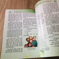 CÂY XƯƠNG RỒNG  1007319