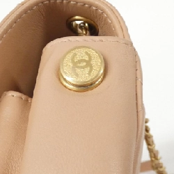 Túi xách vai Chanel AS2674 613778