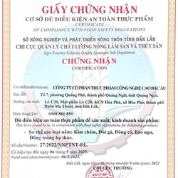 Nấm sạch hữu cơ xuất khẩu giá rẻ tận gốc 141503