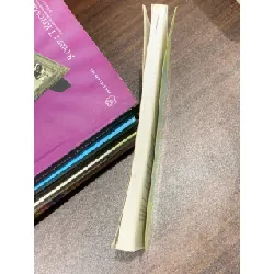 Kế hoạch cuộc đời – Robert Ashton