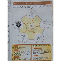 Phương pháp thờ Thần Tài Mật tông - Đại đức Thích Minh Tông 732074