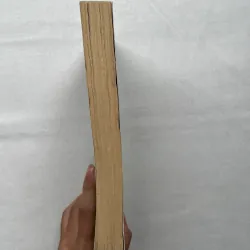 Choke - Chuck Palahniuk  793125