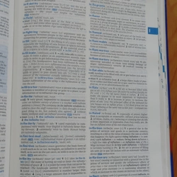 OXFORD ADVANCED LEARNERS 517376