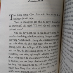 tiểu thuyết "Nhà Giả Kim" của nhà văn Paulo Coelho.  496636