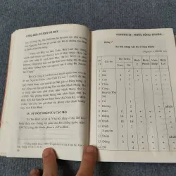 LÀNG BẾN CÁ XƯA VÀ NAY - BẢO TÀNG ĐỒNG NAI 729294