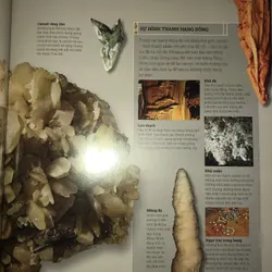 Đá quý và khoáng sản - Bách khoa toàn thư bằng hình ảnh với hơn 1000 mẫu vật  718393