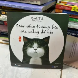 Cuộc sống thượng lưu của hoàng đế mèo