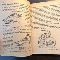 📖 Đời sống các loài thú (xb 1972) 565178
