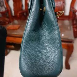 Túi hàng hiệu DAISY da bò thật  664718