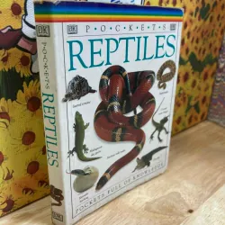 Pockets: Reptiles